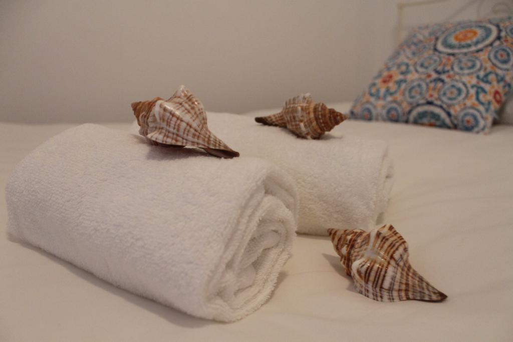 Consolacao Surf & Beach Apartment Εξωτερικό φωτογραφία